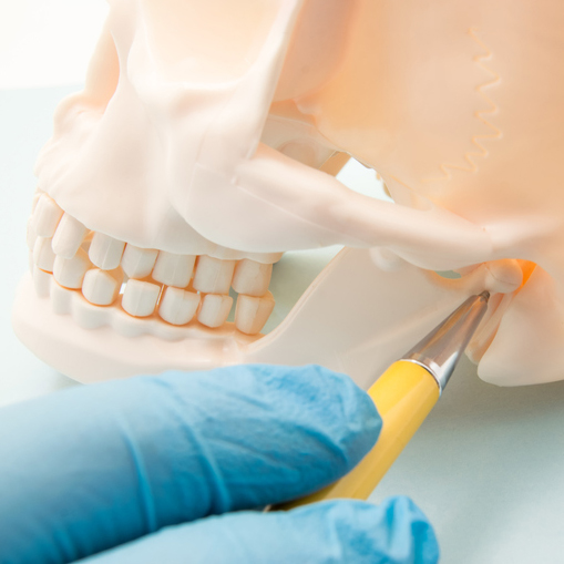 Temporomandibular joint (TMJ, joint of the lower jaw) and the ear canal. The physician indicates on the mandibular joint or human ear bone canal as the source of the symptom, pain or illness